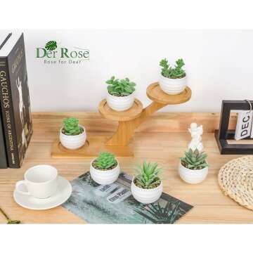 Mini Succulent Plants Set of 6 for Aesthetic Decor