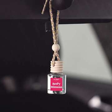 CE Craft Berry Mimosa Car Air Freshener Diffuser - Aromatherapy 2 PACK