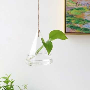 Hanging Glass Terrarium