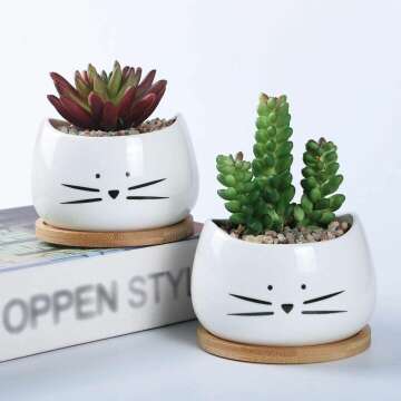 Cute Cat Succulent Planter Set