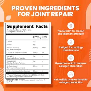 SaltWrap Collagen Powder for Optimal Joint Health