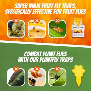 Super Ninja Fruit Fly Trap Indoor - 4 Traps - Fruit Fly Trap for Kitchen and Indoor Use - Fruit Fly Trap - Up to 3 Weeks