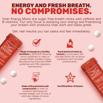 Viter Energy Caffeine Mints (120 Pieces) - 40mg Caffeine, Sugar Free, Vegan, B Vitamins Complex, Energy Supplement Caffeine Pills (Cinnamon, 6 Pack)