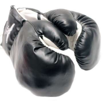 Rex 1 Pair Black 16oz Punching Boxing Gloves for Fighters