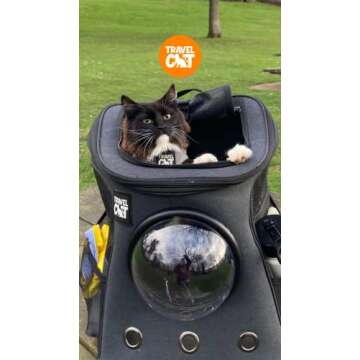 Fat Cat Backpack Carrier - Airline Approved Cat Carrier with Space Capsule Bubble for for Small Cats, Kitten - Premium Charcoal Cat Carrier Backpack for Outdoor, Travel, Hiking, Pet Supplies