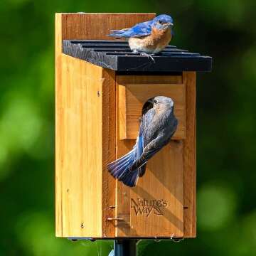 Nature's Way Cedar Bluebird House | CWH3 Eco-Friendly