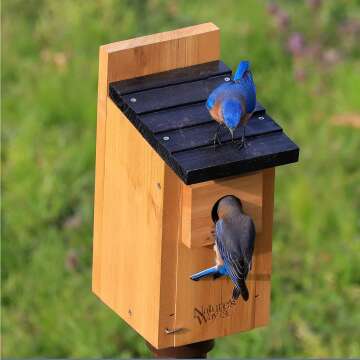 Nature's Way Cedar Bluebird House | CWH3 Eco-Friendly