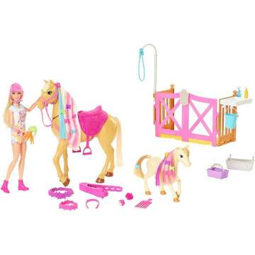Barbie Groom 'n Care Horses Playset with Barbie Doll (Blonde 11.5-in), 2 Horses & 20+ Grooming and Hairstyling Accessories, Gift for 3 to 7 Year Olds [Amazon Exclusive]