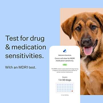 Wisdom Panel Breed Discovery Dog DNA Kit: Most Accurate Dog Breed Identification, Test for 365+ Breeds, MDR1 Health Test, Ancestry, Relatives