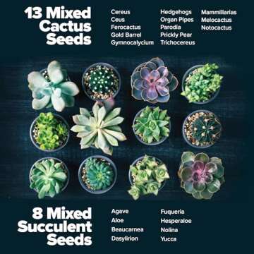 HOME GROWN Succulent & Cactus Seed Kit for Planting – [Enthusiasts Favorites] Premium Cactus & Succulent Starter Kit: 4 Planters, Drip Trays, Markers, Seeds Mix, Soil - DIY Gift Kits