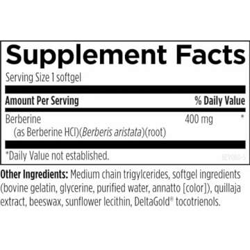 Designs for Health Berberine Evail - Enhanced Absorption Berberine Supplement for Metabolism & Healthy Lifestyle Support - Non-GMO (60 Servings)