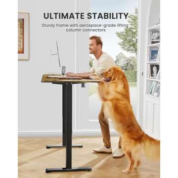 ErGear Adjustable Electric Standing Desk - Enhance Comfort