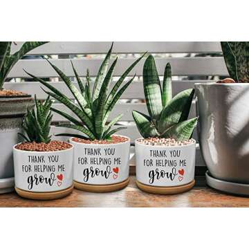 Ceramic Succulent Cactus Planter Saucers for Home Decor