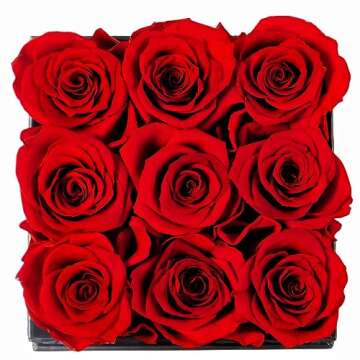 YFYS Forever Rose Flowers for Delivery Prime - 9pcs Preserved Fresh Roses, Genuine Roses That Last for Years, for Birthday Gifts for Women, Valentines Day, and Mother's Day