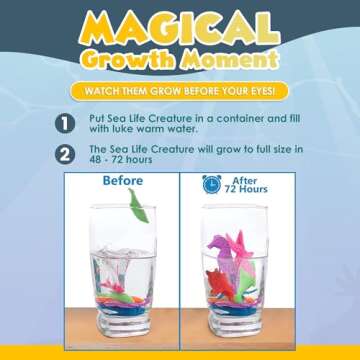 IPIDIPI TOYS Water Growing Sea Creature Toys for Kids – Ocean-Themed Party Favors, Stocking Stuffers, Classroom Prizes, Christmas Gifts, Magic Sea Animals for Boys and Girls – Pack of 25