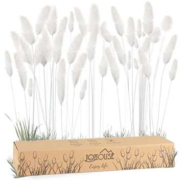 JOHOUSE 120PCS White Bunny Tails Dried Flowers, 17inch Dried Pampas Grass Decor, Bunny Tails Handpicked Bunch, Boho Flowers Home Table Decor, Fall Decor Wedding Decorations for Home