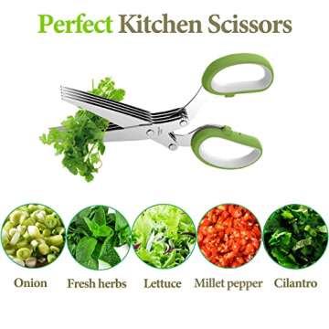 Herb Scissors, Kitchen Herb Shears Cutter with 5 Blades and Cover