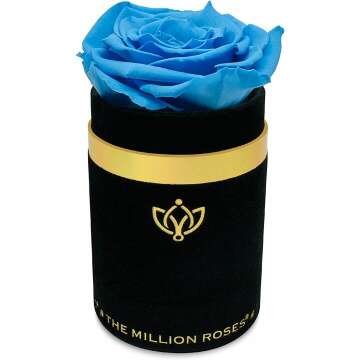 The Million Roses | Luxury Single Light-Blue Rose with Black Suede Box - Premium Real Roses | Long Lasting Preserved Gift