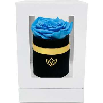 Luxury Light-Blue Rose