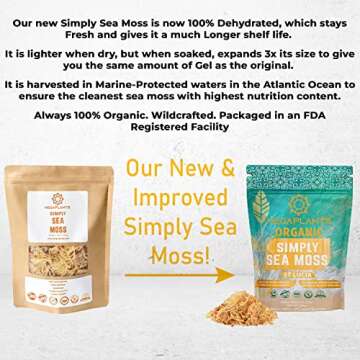 MEGAPLANTS Super Sea Moss | PRE-WASHED | 100% Crispy Sundried | Organic | Wildcrafted | Raw | Odorless | No Salt/Sand | Marine Protected Ocean | Irish Seamoss