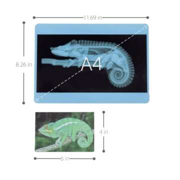 Odoorgames 20 Pieces Animal X-Ray Set - Guess Who I Am ? - Educational Science Kit for Kids: Explore The Fascinating World of Animal Skeletons