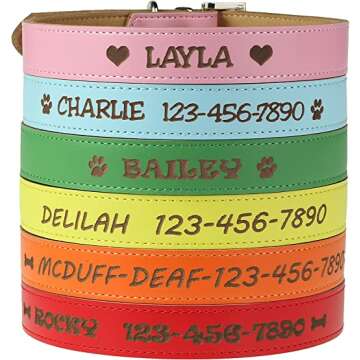 Personalized Dog Collar