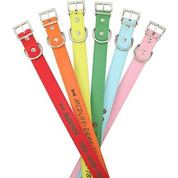 Personalized Dog Collar