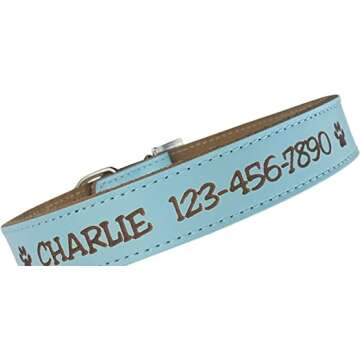 Personalized Dog Collar