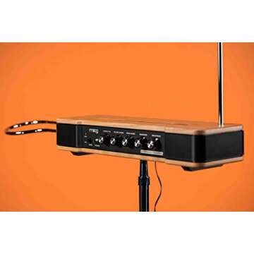 Moog Etherwave Theremin