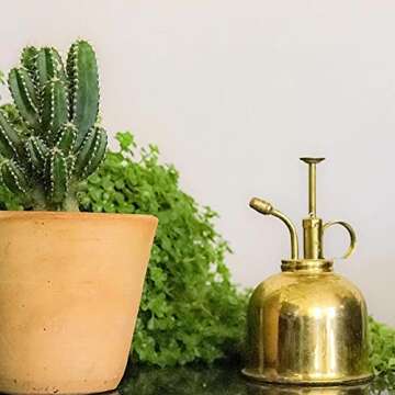 Sustainable Village Indoor Plant Mister - Brass Water Mister Spray Bottle Plants Indoor - Indoor Plant Misters for Inside - Plant Sprayer Mister Stainless - Vintage Spray Bottle for Terrarium