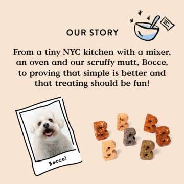 Bocce's Bakery PB Banana Chip Recipe Treats for Dogs, Wheat-Free Everyday Dog Treats, Real Ingredients, Baked in The USA, All-Natural Soft & Chewy Cookies, Peanut Butter, Bananas, & Carob, 6 oz