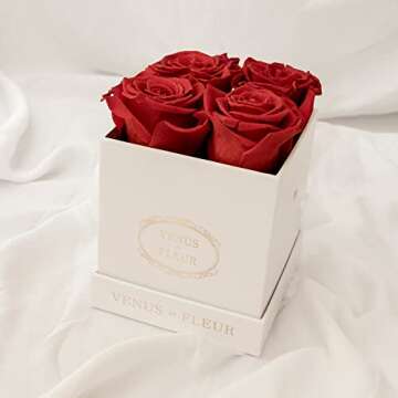 Venus et Fleur Le Petit Square - The Original Preserved Roses in a Box That Last a Year - Black Gift Box, 4 Blush Roses