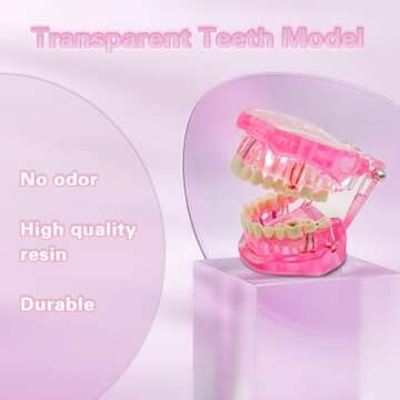 Windplusya Transparent Disease Teeth Model with Dental Implant Bridge, Dental Teach Crown Bridge Removable Model, Tooth Model for Patient and Dental Student Education. (Red)