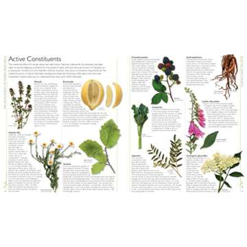 DK Encyclopedia of Herbal Medicine: 550 Herbs Loose Leaves and Remedies for Common Ailments