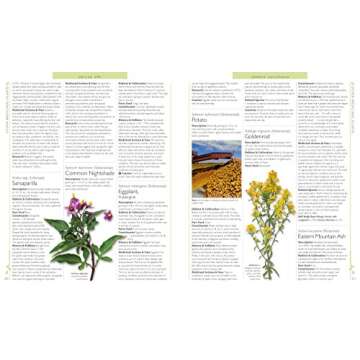 DK Encyclopedia of Herbal Medicine: 550 Herbs Loose Leaves and Remedies for Common Ailments