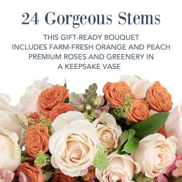 Country Living Floral Collection by Colour Republic Premium Fresh Cut Orange and Peach Roses, 2 Dozen Fresh Flowers Delivery, Extra Large Bouquet