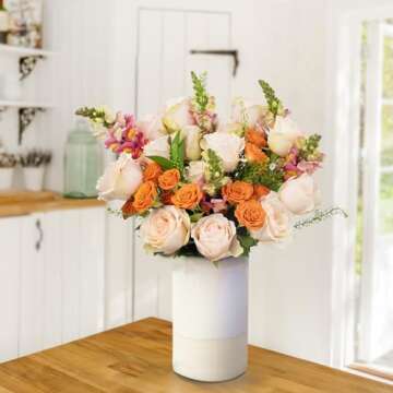 Country Living Floral Collection by Colour Republic Premium Fresh Cut Orange and Peach Roses, 2 Dozen Fresh Flowers Delivery, Extra Large Bouquet