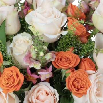 Country Living Floral Collection by Colour Republic Premium Fresh Cut Orange and Peach Roses, 2 Dozen Fresh Flowers Delivery, Extra Large Bouquet