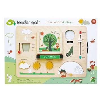 Tender Leaf Toys - Weather Watch - Educational Wooden Weatherboard for Kids - Perfect Climate Teaching Toy Station for Kids to Play and Learn for Age 3+