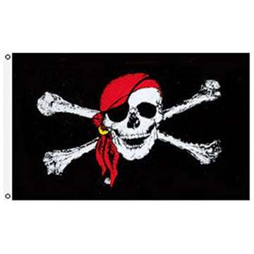 HAYES SPECIALTIES 3' x 5' Jolly Roger Pirate Flag