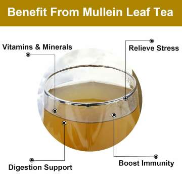 Mullein Leaf Tea Bags for Detox & Respiratory Health