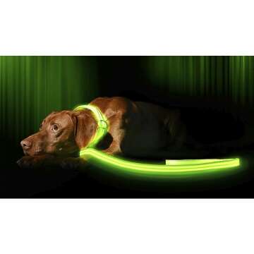 Illumiseen LED Light Up Dog Leash | Ultra Visibility & Comfort