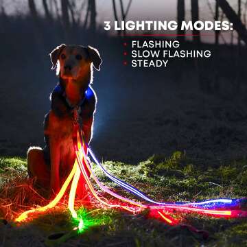 LED Light Up Dog Leash with 3 Modes & Padded Handle