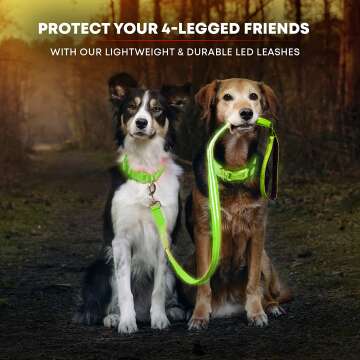 LED Light Up Dog Leash with 3 Modes & Padded Handle