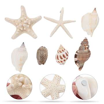 NUOBESTY Magnet Fridge 7PCS Refrigerator Beach Magnets 3D Seashell Conch Shape Magnet Sticker Nautical Refrigerator Whiteboard Magnet Locker for Home Kitchen Random Style Fridge Decor