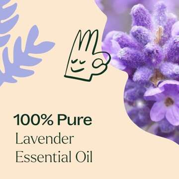 Plant Therapy Lavender Essential Oil 100% Pure, Undiluted, Therapeutic Grade, Aromatherapy Diffuser for Relaxation and Body Care, Healthy Skin and Hair, 10 mL (1/3 oz)