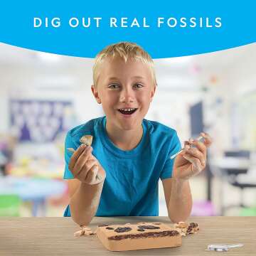 Excavate Prehistoric Fossils
