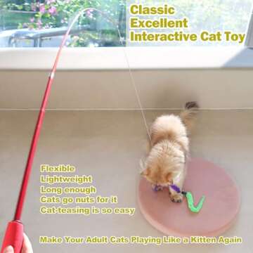 MeoHui Interactive Cat Toys - Retractable Wand Toy and Feather Toys Refills for Indoor Cats to Chase and Exercise