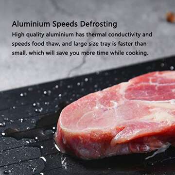 Rapid Defrosting Tray - Safe Thawing for Frozen Meat