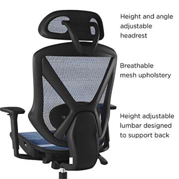 Union & Scale Flexfit Dexley Mesh Task Chair, Blue, 2/Pack (UN59375V-CCVS)